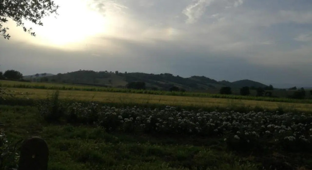 Agriturismo cavallin del papa