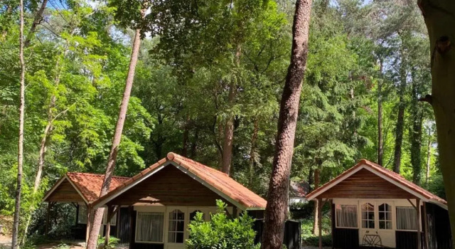 Номер Standard Landgoedhotel Villa Vennendal