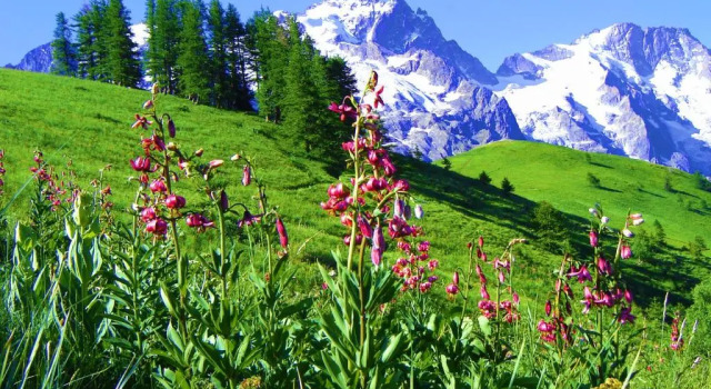 Hotel Biancaneve, Забронировать Отель Саузе-д'Ульс Val di Susa, рядом с Горнолыжный курорт Саузе-д’Ульс - Жувансо