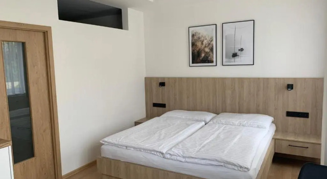 Двухместный номер Standard Wellness & Spa Apartments Lipno - Frymburk