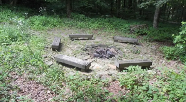 Коттедж Hidden Creek Cabin Apartment