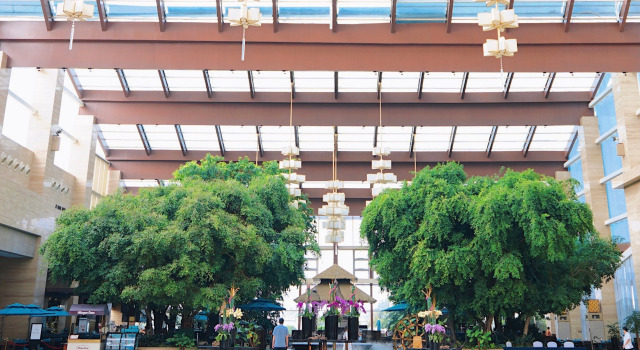 InterContinental Heilong Lake by IHG, Book Hotel SPA-hoteller i Meishan, SPA