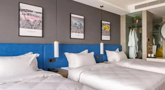 Номер Standard Floral Hotel Tian Cheng Airport