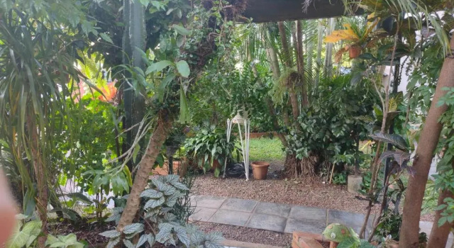 Студия с видом на сад Posada Portal del Iguazu