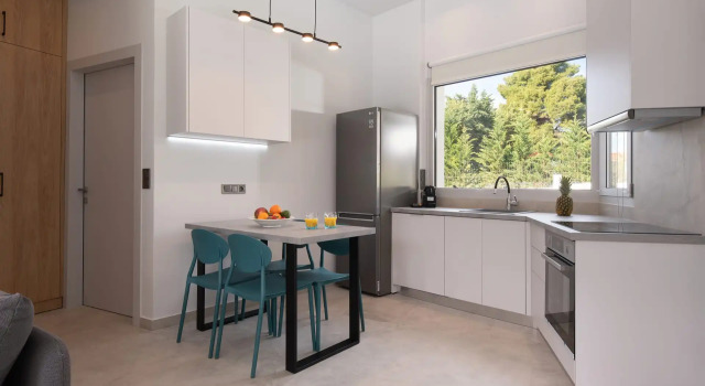 Полулюкс Nikiti Botanic Pool Suites