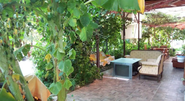 Номер Standard Izmir Tatil Evi Beach Resort