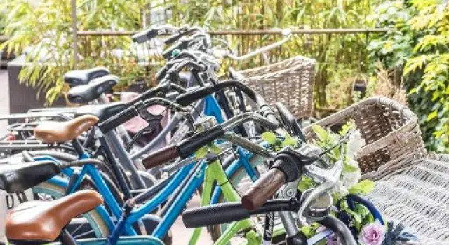 Gezellig Cottage Markdal met gratis fietsen, Book Vacation Home Breda Noord-Brabant