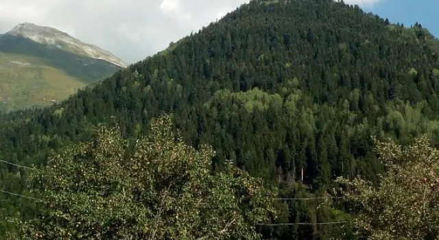 Guesthouse MAMUKA zhabesh, Prenota Affittacamere Mestia Samegrelo Zemo-Svaneti