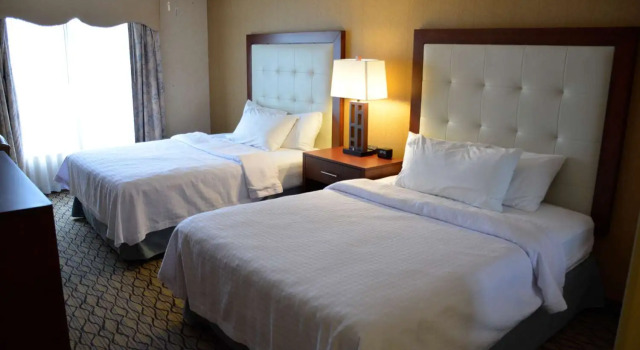 Номер Standard Homewood Suites by Hilton Brighton