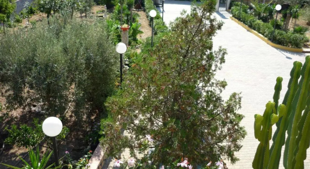 Villa Pisciotto