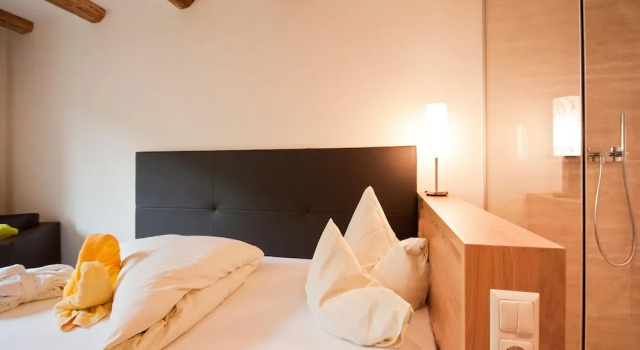 Одноместный номер Standard Hotel Riederhof- Urlaub mit WAU