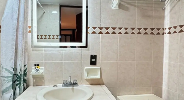 Двухместный номер Standard HOTEL ZAPOTLAN
