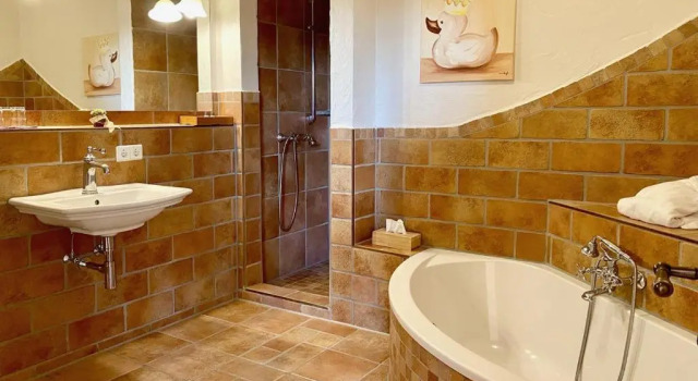 Люкс Superior Hotel Sonnenhof Aspach