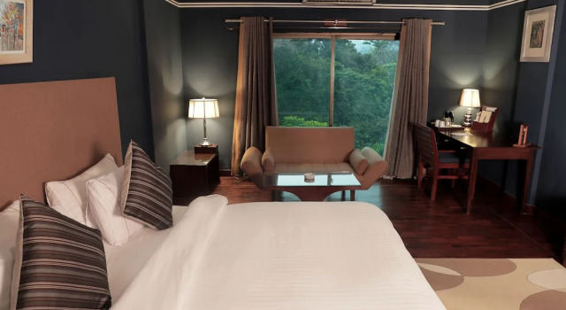 Двухместный номер Standard The Residency Hotel