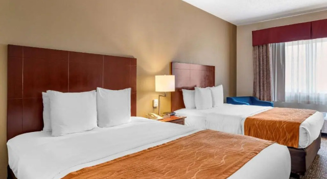 Четырёхместный номер Standard Comfort Inn & Suites Kelso - Longview