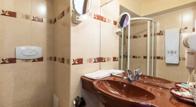 Номер Standard Hotel Prahova Plaza