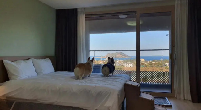 Двухместный номер Deluxe Hi Jeju Hotel
