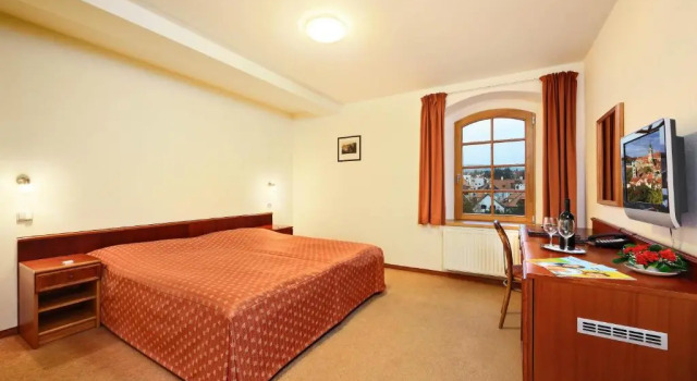 Двухместный номер Standard LH Hotel Mlýn