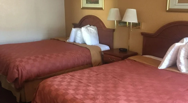 Standard- firedobbelt værelse Americas Best Value Inn Springerville