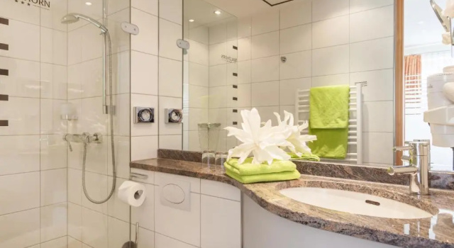 Номер Deluxe Hotel Waldhorn