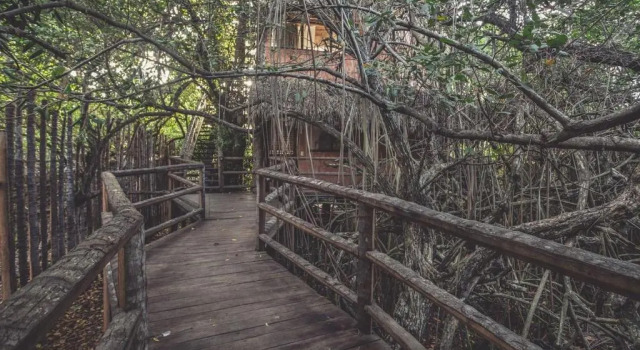 Люкс Superior Hidden Treehouse Tulum EcoHotel