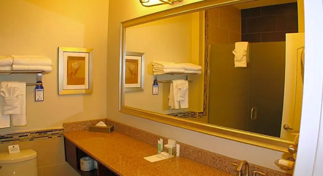Двухместный люкс c 1 комнатой Best Western Plus Easton Inn & Suites