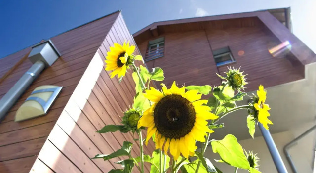 Mittendorf Klimaresidence