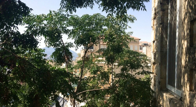 מלכות בעתיקה, Reserva ahora Hotel Safed Galilea Superior