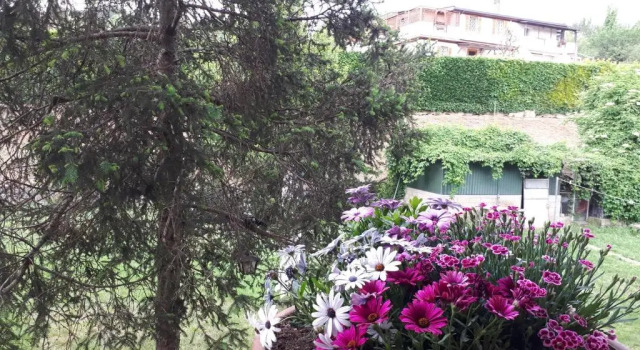 Номер Standard B&B Papa Leone Countryrooms