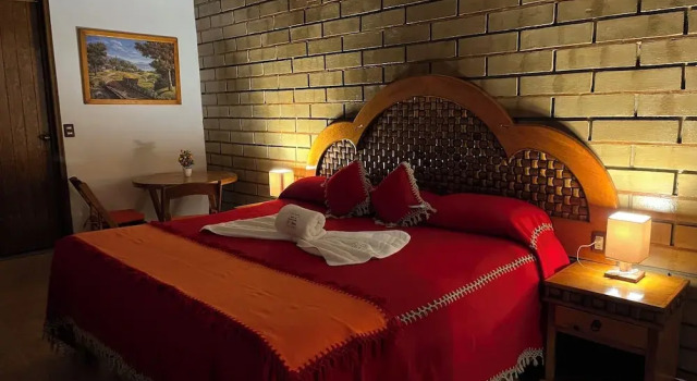 Номер Superior Hotel El Aguila, Villa del Carbón