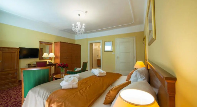 Двухместный номер Superior Spa Resort PAWLIK-AQUAFORUM