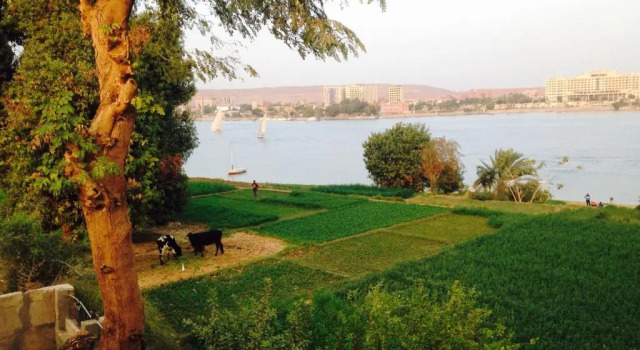 Номер Standard Nubian Holiday House Aswan