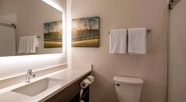 Двухместный люкс c 1 комнатой B/W Plus Elizabethtown Inn & Suites