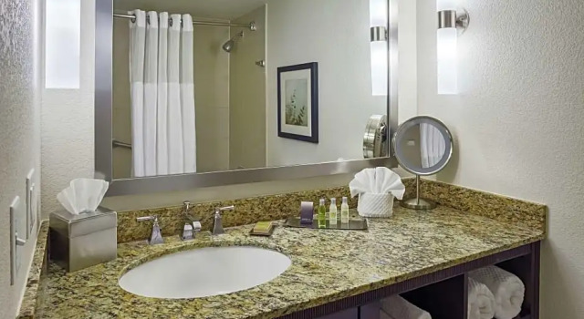 Номер Sweet Dream DoubleTree by Hilton San Antonio Downtown