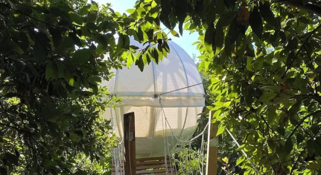 Коттедж Standard Quinta do Abacate - Glamping Park