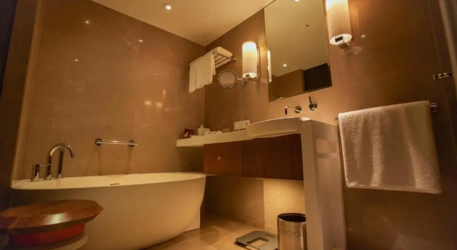 Номер Premium Crowne Plaza Chennai Adyar Park