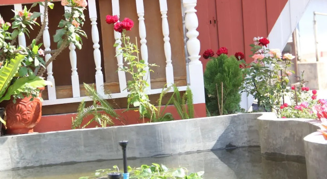 Shin Sane Guest House, Забронировать Гостевой дом  