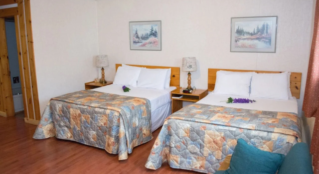 Четырёхместный номер Standard Mayflower Inn and Adventures