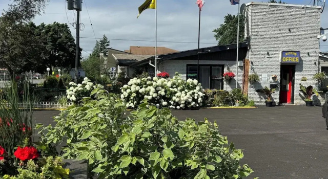 Студия Luxury Crestwood Motel