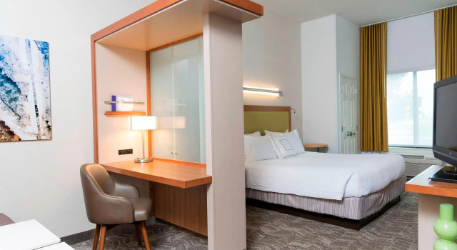 Двухместная студия SpringHill Suites Detroit Auburn Hills