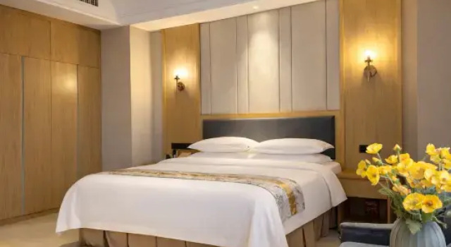 Люкс Deluxe Falaide International Hotel