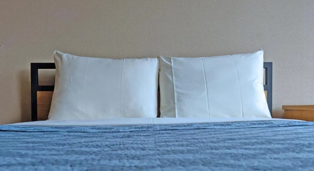 Четырёхместный номер Standard Chestnut Residence - Campus Accommodation