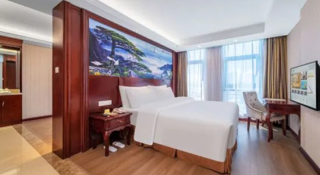 Люкс Business Vienna Hotel Chongqing Creative Park Branch