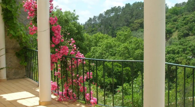 Апартаменты My Room   Villa Vina ® - TER