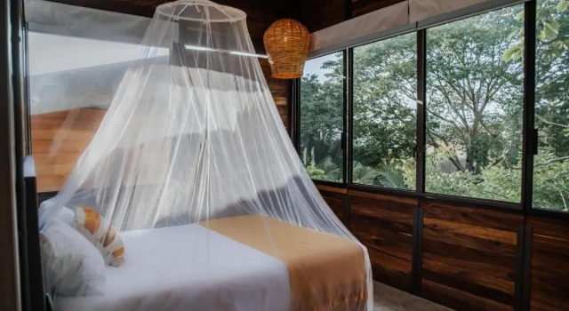 Номер Standard Casa Selva Sayulita