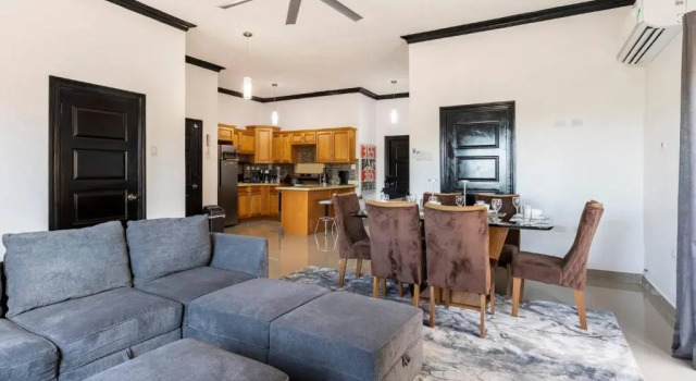 Luxury Living Modern & Contemporary Home With Brand New Pool in Manor Park