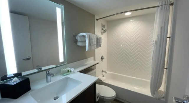 Двухместный номер Standard Holiday Inn & Suites Chicago-Downtown by IHG