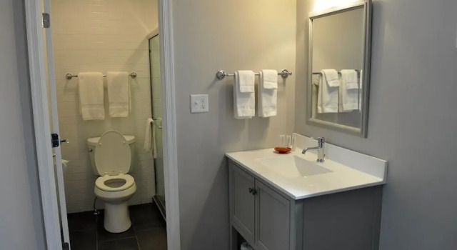 Двухместный номер Standard Silver Birches Resort