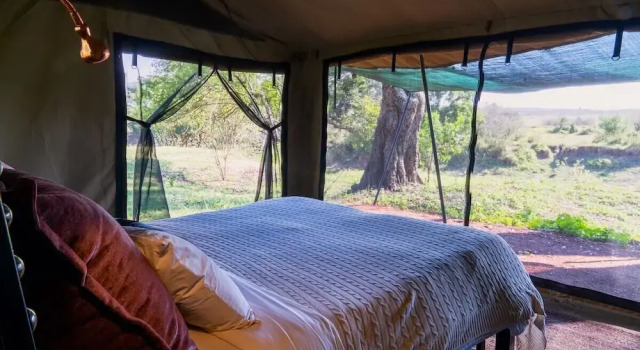 Номер Deluxe Basecamp Adventure