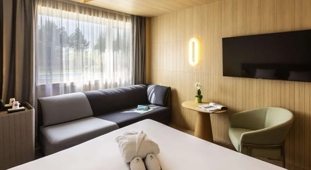 Номер Executive Novotel Nancy